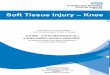 Soft Tissue Injury – Knee Information... · Management / Rehabilitation Plan Page 2 Weeks since Injury Rehabilitation Plan 0-2 If given a splint in A&E you can wear this as required