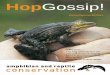 Hop Gossip! - Tayside Biodiversity€¦ · Amphibian and Reptile Conservation is a Registered Charity. Charity number 1130188. Amphibian and Reptile Conservation is a national wildlife