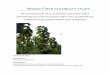 WOOD FIBER FEASIBILITY STUDY - Squarespace...Planting Empowerment‐ Wood Fiber Feasibility Plan 02.24.10 MIT Sloan Entrepreneurs in International Development 4 plant was not commercially