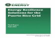 Energy Resilience Solutions for the Puerto Rico Grid...Energy Resilience Solutions for the Puerto Rico Grid Final Report June 2018 United States Department of Energy Washington, DC