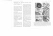 eafp.org 2/Volume 14 - Issue 2_64.pdfdefence mechanism involves a complex system of interactions between cellular mediators (interleukins) and their target cells (e.g. macrophages,