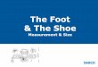 The Foot & The Shoe - DARCO · 2015-06-11 · The Foot & The Shoe| Version June 2015| DARCO (Europe) GmbH INTRODUCTION I – Shoe Sizes General parlance is talking about shoe sizes