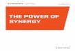 THE POWER OF SYNERGY - Progress.com...Eclipse-based IDE, Progress Developer Studio for OpenEdge A unified repository, the Progress OpenEdge database, containing state and process information