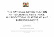 THE NATIONAL ACTION PLAN ON ANTIMICROBIAL .../media/Files/Activity Files...THE NATIONAL ACTION PLAN ON ANTIMICROBIAL RESISTANCE: MULTISECTORAL PLATFORMS AND LESSONS LEARNT E. Wesangula,