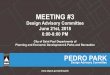 MEETING #3...PEDRO PARK Design Advisory Committee UPDATE ON NEXT STEPS PARK DESIGN PROCESS & STATUS PROJECT INITIATION COMMUNITY ENGAGEMENT & DESIGN DEVELOPMENT DESIGN & ENGINEERING
