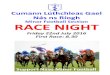 Minor Football Section RACE NIGHT - Outside the BoxWelcome to our Race Night Naas Minor Football Section would like to thank all those who bought horses for tonight's fundraiser and