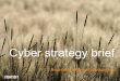 Cyber strategy brief - storage.googleapis.comThe Stonesoft Mission “to protect and save lives and businesses in cyber space” Network security from Stonesoft . Datacenters and cloud
