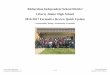 2016-2017 Formative Review Quick Update Richardson ......Richardson Independent School District Liberty Junior High School 2016-2017 Formative Review Quick Update Accountability Rating: