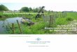 Guidance for Restoration Activities in Riparian Areas ...stewardshipcentrebc.ca/PDF_docs/sar/GuidanceforRestorationActivit… · the Agriculture Investment Foundation of British Columbia