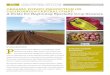 ORGANIC POTATO PRODUCTION ON CALIFORNIA’S CENTRAL … · ORGANIC POTATO PRODUCTION ON CALIFORNIA’S CENTRAL COAST: A Guide for Beginning Specialty Crop Growers Introduction P otatoes