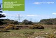 VISUAL IMPACT PROVISION - National Grid plcnewforest.nationalgrid.co.uk/wp-content/uploads/2016/06/... · 2016-09-22 · New Forest National Park: Visual Impact Provision Scoping