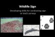 Wildlife Sign - University of Tennesseefwf.ag.utk.edu/mgray/WetlandBook/WildlifeSignsLab.pdfWildlife Sign Developing skills for conducting sign or track surveys ... various mammalian