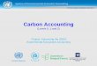 Carbon Accounting - United Nations · System of Environmental-Economic Accounting Overview: The Carbon Accounting 1. Learning objectives 2. Review of Level 0 (5m) • What is it?
