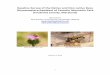 Baseline Survey of the Native and Non-native Bees ...1 Baseline Survey of the Native and Non-native Bees (Hymenoptera:Apoidea) of Catoctin Mountain Park (Frederick County, Maryland)