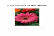 Expressions of the Bloom - irisremembers.com of the Bloom.pdf · Some gardens contain purchased plants, while others have flowers, trees, shrubs and herbs that have been given by