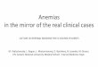 Anemias in the mirror of the real clinical casesdspace.univer.kharkov.ua/bitstream/123456789/13992/2/Lecture_An… · Anemias in the mirror of the real clinical cases LECTURE IN INTERNAL