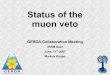 Status of the muon veto - Max Planck Society · Muon veto schedule GERDA Meeting, IRRM Geel, June, 11th 2007 - Markus Knapp, University of Tübingen next week: - pressure tests of