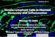 Innate Lymphoid Cells in Mucosal Immunity and Inflammation · 2014-10-22 · Innate Lymphoid Cells in Mucosal Immunity and Inflammation KAAACI-2012 Myoung Ho JANG Laboratory of Gastrointestinal