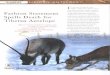 Fashion Statement Spells Death for Tibetan Antelope (PDF 5 ... · Title: Fashion Statement Spells Death for Tibetan Antelope (PDF 5.46MB) Author: WWF, TRAFFIC East Asia, TRAFFIC India