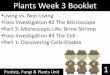 Plants Week 3 Booklet - SOUTH CAROLINA 6TH GRADE SCIENCEsc6thgradescience.weebly.com/uploads/3/0/9/8/30980165/... · 2019-12-09 · Plants Week 3 Booklet Protists, Fungi & Plants