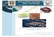 UABC - Facultad de Ciencias Marinasfcm.ens.uabc.mx/licenciatura/oceanologia/manuales Lab... · Web viewEffect of temperature and tissue age on gel strength and composition of agar