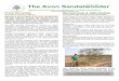 The Avon Sandalwoodersandalwood.org.au/wp-content/uploads/2018/12/The-Avon-Sandalwo… · sandalwood. All host trees are legumes. Seedlings are irrigated using the standard flood