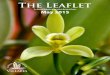 The Leaflet - Vallarta Botanical Gardens · The Leaflet May 2015 The Monthly Magazine of the Vallarta Botanical Garden ... The project that we will collaborate on together is further