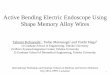 Active Bending Electric Endoscope Using Shape Memory Alloy … · 2014-06-30 · Active Bending Electric Endoscope Using Shape Memory Alloy Wires Takumi Kobayashi1, Tadao Matsunaga2