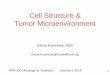 Cell Structure & Tumor MicroenvironmentCell Structure & Tumor Microenvironment RPN-530 Oncology for Scientist-I 28 Cytoskeleton: Function • Cell shape, • Cell polarity • Cell