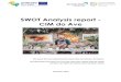 SWOT Analysis report - CIM do Ave · SWOT Analysis report - CIM do Ave ... ICT and Social Innovation). It includes by means of business incubators, developed and applying new business