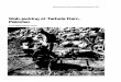 Slabjacking at tarbela dam pakistan - Dr. Donald Brucegeosystemsbruce.com/v20/biblio/1983_slabJackingTarbela.pdf · Title: Slabjacking at tarbela dam pakistan Author: bruce; joyce