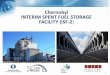 Interim Spent Fuel Storage Facility (ISF-2) · Spent Fuel handling system: Interim Spent Fuel Storage Facility (ISF-2) Removal of spent fuel from the TK-700 & Transfer into main “Hot