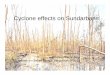 Cyclone effects on Sundarban [Read-Only]cdn.cseindia.org/userfiles/presentation3_sundarbans.pdf · 2019-07-18 · The Sundarban • The Sundarban mangrove covers about 0.6 million
