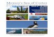 Mexico’s Sea of Cortez - Naturalist Journeys · Cost of the Journey The cost of the cruise is $4795 per person based on double occupancy / $ 8395 single occupancy, plus a Cost of
