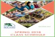 SPRING 2018 CLASS SCHEDULE · Late Start Classes: There are classes that begin each month throughout the semester. Open registration for these classes is available until midnight