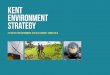 Kent ENVIRONMENT Strategy5 Kent ENVIRONMENT Strategy In a recent survey, 70% of residents rated the Kent countryside as very important to them, with almost four in five using the natural