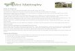 Mini Mattingley Directions Sheet May 2017 Mattingley Directi… · On turning into Borough Court Road the farm entrance is 400m on the le hand side. You will pass Scus Lodge, Scus