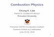 2. Chemical Kinetics - Princeton University...Chemical Kinetics •Reaction rates and approximations •Theories of reaction rates •Straight and branched chain reactions 3. Oxidation