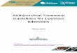 Antimicrobial Treatment Guidelines for Common …...Antimicrobial Treatment Guidelines For Common Infections (Click arrow buttons to navigate) Section 1: Anatomical Page Foot Diabetic