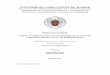 UNIVERSIDAD COMPLUTENSE DE MADRID · 2017-03-09 · I DEPARTAMENTO DE ECONOMÍA FINANCIERA Y CONTABILIDAD III (Economía y Administración Financiera de la Empresa) FACULTAD DE CIENCIAS