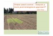 Potato weed control – towards a more post-emergence approach? · Potato weed control – towards a more post-emergence approach? John Keer. Potato weed control strategies 1. Pre-cultivations