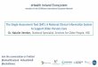 The Single Assessment Tool (SAT): A National Clinical ... · Dr. Natalie Vereker, National Specialist, Services for Older People, HSE. Single Assessment Tool (SAT) for Older People