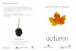 autumn - Reddish Vale Nursery School · 2019-02-05 · Woodland snakes and autumn flowersWoodland snakes and autumn flowers Collect some fallen leaves of different colours. Lay them