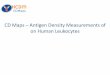 CD Maps – Antigen Density Measurements of on …Aims and scope Antigen expression Density Measurements of CD1-CD100 on Human Leukocytes – Pilot: CD1-CD100 – Defined cells and