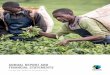 Annual Report and Financial Statements/media/FairtradeUK/What is Fairtrade... · Annual Report and Financial Statements For the year ended 31 December 2016 Annual Report and ... will