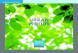 URBAN WOODS - Ready...LOCATION Central Park Area PLOTS SIZES Independent floors on 300 sq m /360 sq yds plots UNIT CONFIGURATION Independent floors with a choice of 3BHK+SR, 4BHK (Duplex)+SR