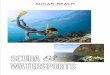 TABLE OF CONTENTS · Superman’s Flight. Located at the base of the Petit Piton, this dive site is well known for its underwater beauty and also currents. Part of Superman II was