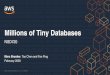 Millions of Tiny Databases...© 2020, Amazon Web Services, Inc. or its Affiliates. Marc Brooker, Tao Chen and Fan Ping February 2020 Millions of Tiny Databases NSDI’20
