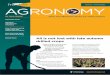 AGRONOMY - Frontier Agriculture · agronomy trial sites across the UK have indicated that, due to excess rainfall, soil nitrogen levels may be 1 to 2 indexes lower than the normal