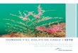 2010 DOÑANA Y EL GOLFO DE CÁDIZ | 2010del resto de fauna marina, es muy abundante. Se describen especies de crustáceos como el barrilete (Uca tangeri), cefalópodos como el pulpo